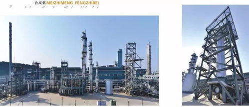 四川美豐一項關鍵化工工藝通過科技成果鑒定，引領行業綠色高效發展