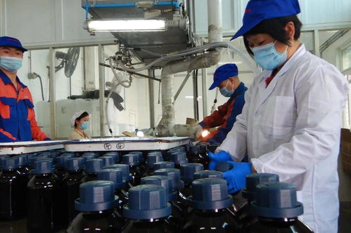 光華科技榮獲“全國石油和化學工業先進集體”稱號，彰顯化工技術創新硬實力