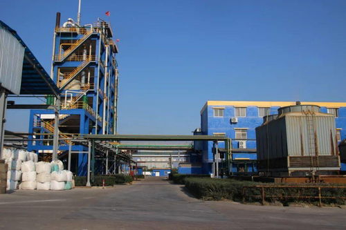 科技引領 創新驅動 以省第十五次黨代會精神為指引，推進化工技術升級與高質量發展